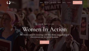 Portfolio 6 300x172 2